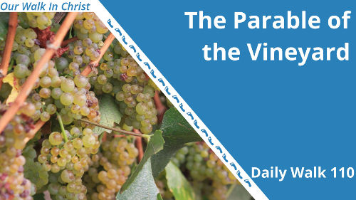 The Parable of the Vinyard | Daily Walk 110