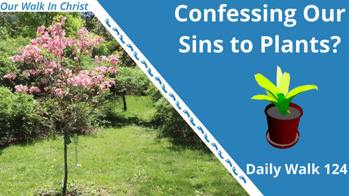 Confessing Our Sins to Plants? | Daily Walk 124