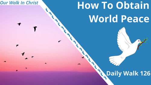 How to Obtain World Peace | Daily Walk 126