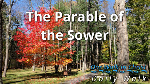 The Parable of the Sower | Daily Walk 13