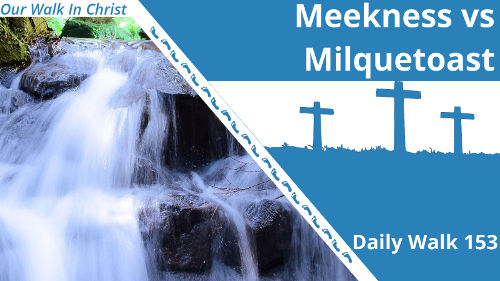 Meekness vs Milquetoast | Daily Walk 153