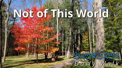 Not of This World | Daily Walk 16
