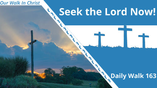 Seek the Lord Now | Daily Walk 163