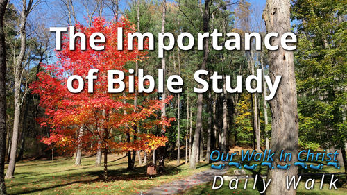 The Importance of Scripture Reading | Daily Walk 2