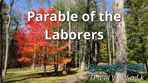 Parable of the Laborers | Daily Walk 20