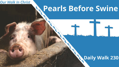 Pearls Before Swine | Daily Walk 230