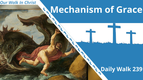 Mechanism of Grace | Daily Walk 239