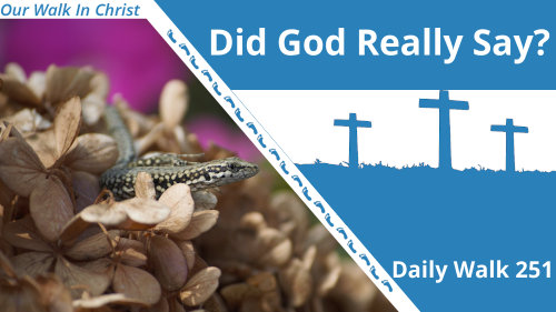 Has God Really Said? | Daily Walk 251
