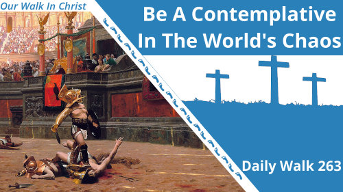 Be A Contemplative in the World's Chaos | Daily Walk 263