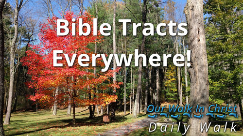 Bible Tracts Everywhere | Daily Walk 4