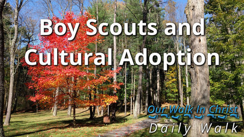 Boy Scouts and Adopting the Culture | Daily Walk 59