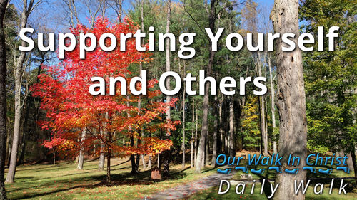 Support Yourself and Others | Daily Walk 63