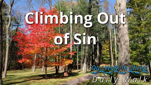Climb Out of Sin | Daily Walk 67