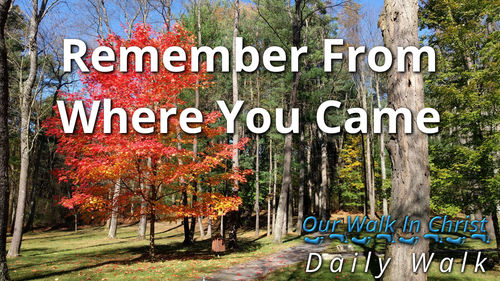 Remember From Where You Came | Daily Walk 68