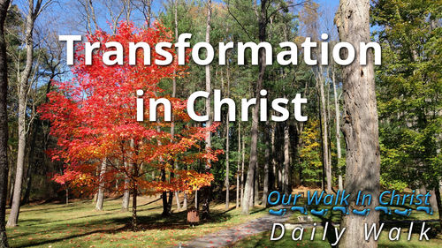 Transformation in Christ | Daily Walk 7