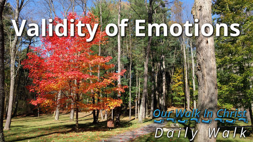 Validity of Emotions | Daily Walk 70