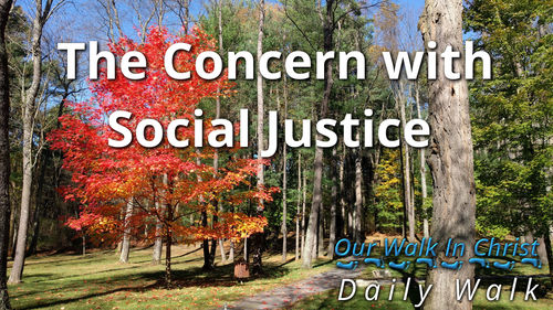 Concern with Social Justice | Daily Walk 71