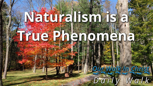 Naturalism Is Real | Daily Walk 73