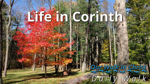 Life in Corinth | Daily Walk 8