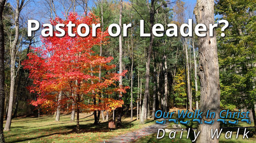 Pastor or Leader | Daily Walk 80