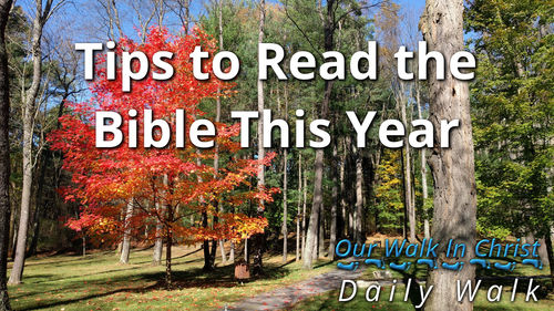 Tips to Read the Bible | Daily Walk 85