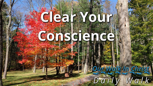 Clear Your Conscience | Daily Walk 88